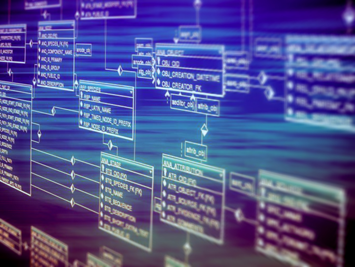 Flowchart of different options on a computer screen.