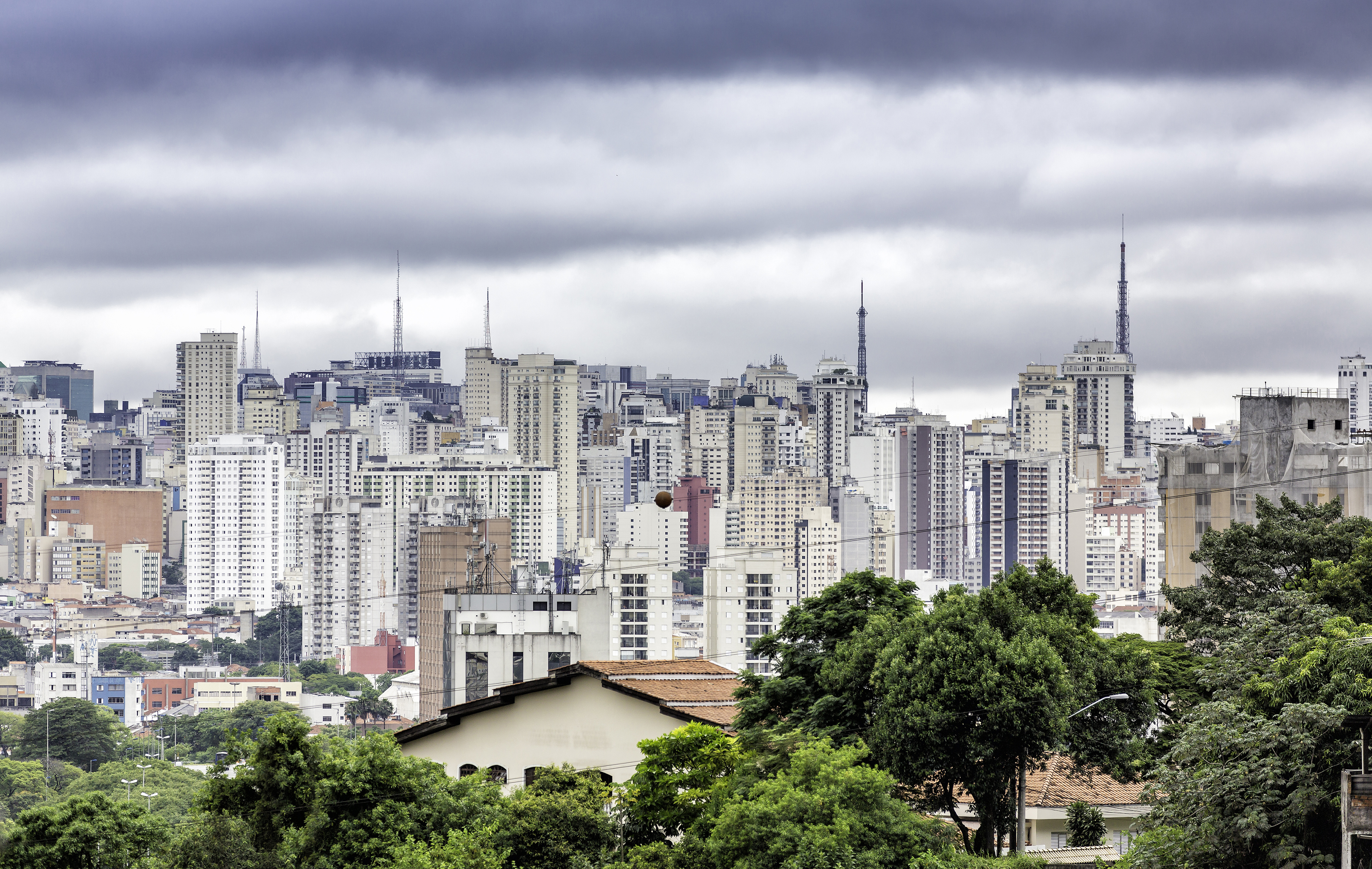 A view of Sao Paulo looking out over the tops of some trees towards the high-rise buildings of the city centre.