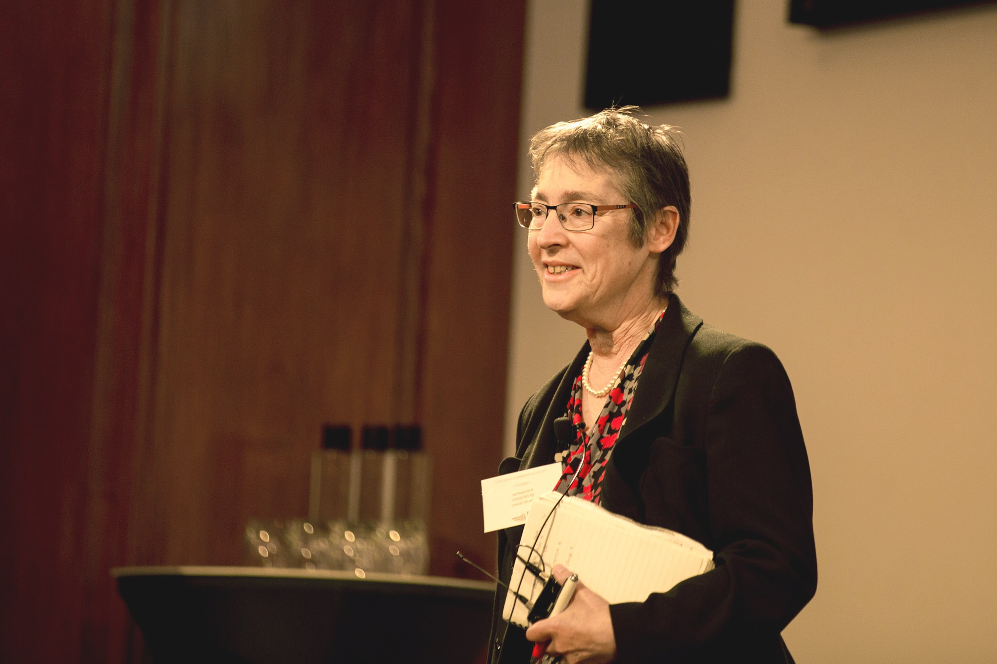 Ruth Kaufman at the Annual Analytics Summit 2017