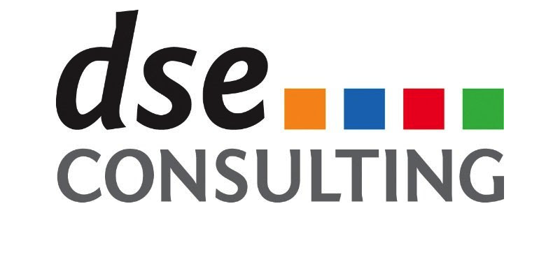 DSE Consulting rectangle top chop.png