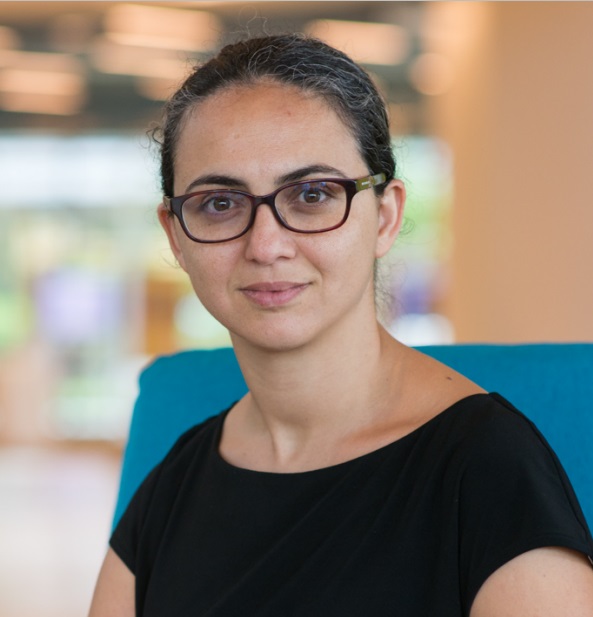 Selin Ahipasaoglu.jpg