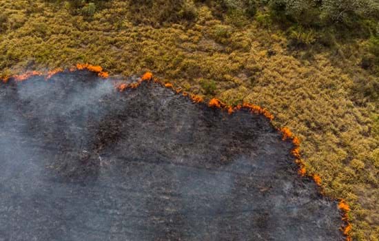 Wildfire medium.jpg