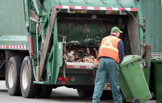 Bin collection.jpg